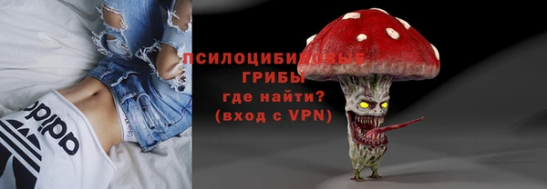 гашик Белоозёрский