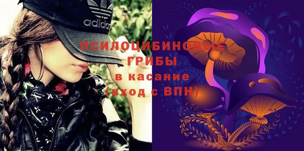 марки lsd Белокуриха