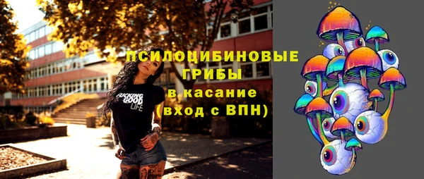 гашик Белоозёрский