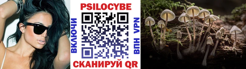 Галлюциногенные грибы Magic Shrooms Кубинка