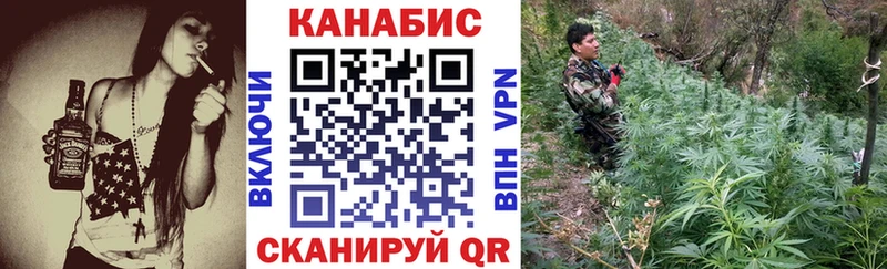 Конопля Amnesia  Кубинка 